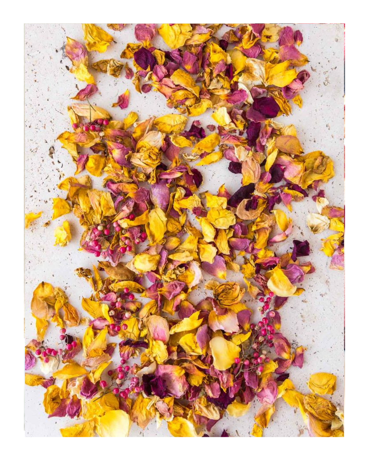 Colorful dried flower petals on a textured white surface