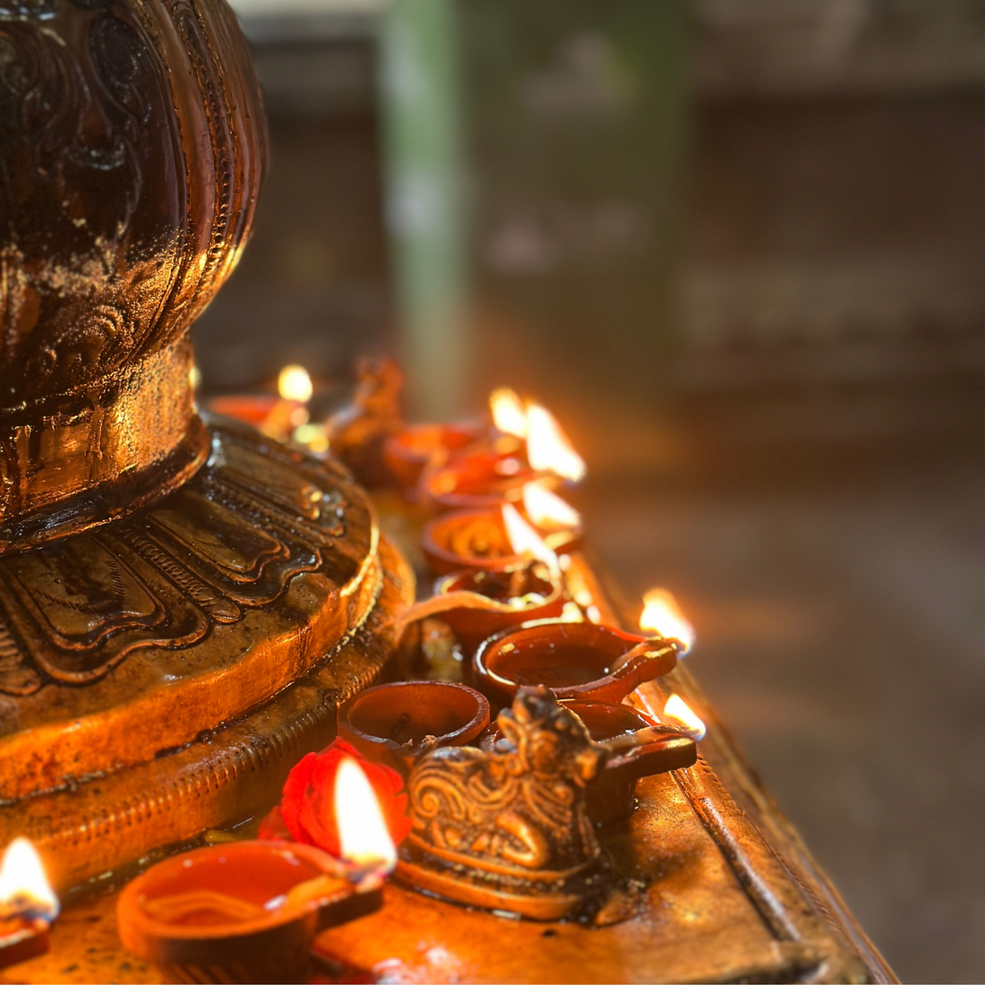 The Light of Kartigai